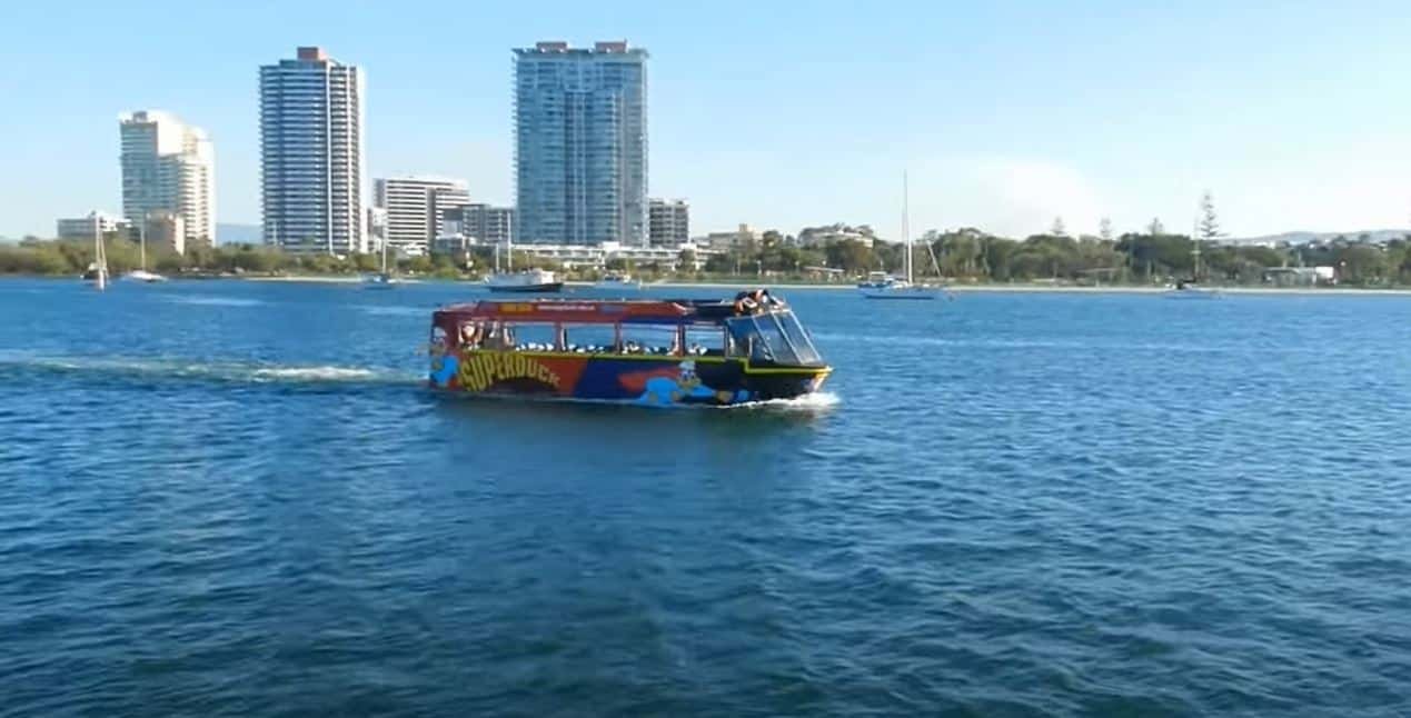 what does a duck boat look like what does a duck boat look like